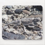 horned toad mousepads