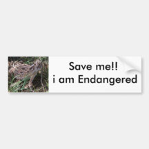 horned toad, Save me!! i am Bumper Stickers