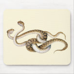 Horned Vipers mousepads