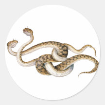 Horned Vipers Sticker