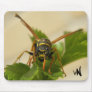 hornet mouse pads