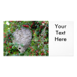 Hornets Nest Photo Photo Cards