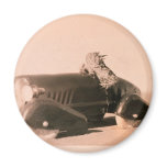 Horny Toad Car magnets