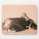 Horny Toad Car mousepads