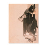 Horny Toad Car postcards