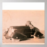 Horny Toad Car posters