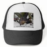 Horny Toad hats