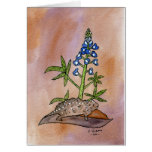 Horny Toad with Bluebonnet cards