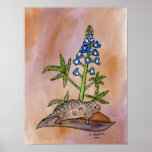 Horny Toad with Bluebonnet posters