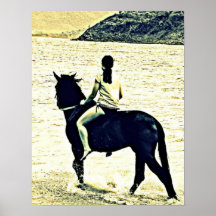 horse2 posters