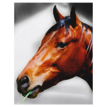 Horse and a blade of grass personalised flyer