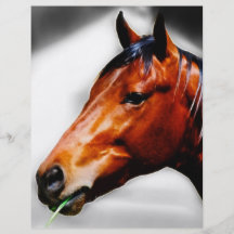 Horse and a blade of grass personalised flyer