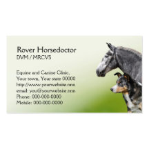 Horse and dog vet appointment and business card