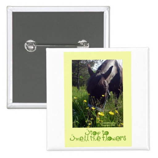 Horse and flowers pinback button