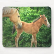 Horse and Foal on a Mouse Pad