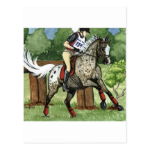 Horse Art APPALOOSA Eventing Postcards