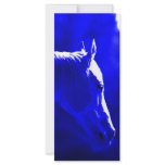 Horse At Night - Horse In Moonlight rack cards