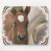 Horse Baby Mouse Pad