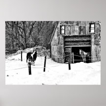 Horse-Barn-BW Print