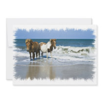 Horse Beach Invitation