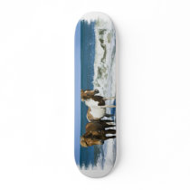 Horse Beach Skateboard