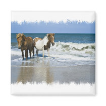 Horse Beach Square Magnet