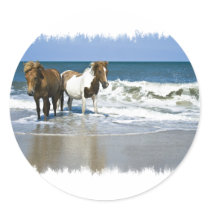 Horse Beach Sticker