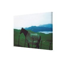 Horse behind fence stretched canvas prints