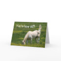 Horse Birthday cards