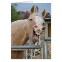 Horse Birthday Card