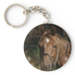 Horse Breeds Keychain