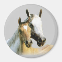 Horse Buddies Magnet