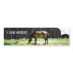 Horse Bumper Sticker