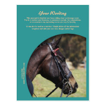 Horse business marketing promotional advertizing postcards