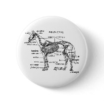 Horse Pinback Button