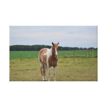 horse canvas print