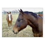 Horse card