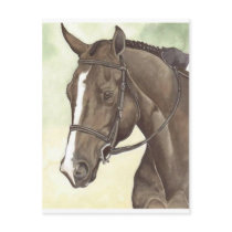 HORSE Champion Appendix QH Mare Postcards