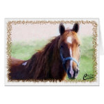 Horse Close Up Greeting Cards