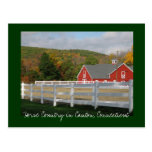 Horse Country in Canton Post Card