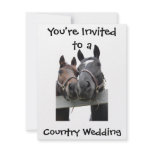 Horse Country Wedding invitations
