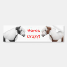 Horse Crazy Bumper Sticker
