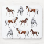 Horse Crazy Mousepad