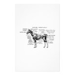 Horse Custom Stationery