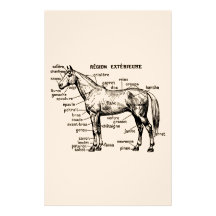 Horse Customized Stationery