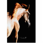 horse cut-out magnet cut outs