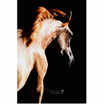 horse cut-out magnet cut outs