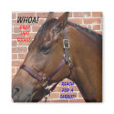Horse Diet Fridge Magnet