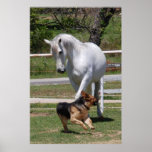 HORSE & DOG PLAY Poster