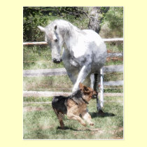 HORSE & DOG PLAY WATERCOLOR postcards